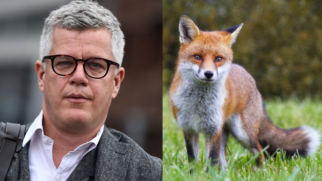 Foxes, Lawyers and Londoners
